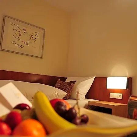 Flandrischer Hof Отель 3*